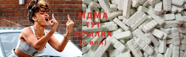 индика Беломорск