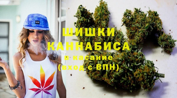 дмт Белокуриха