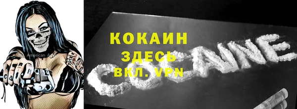 индика Беломорск