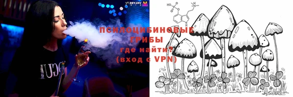 дмт Белокуриха