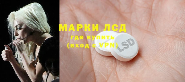 индика Беломорск
