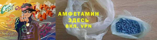 индика Беломорск