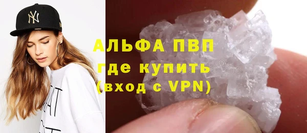индика Беломорск