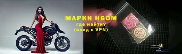индика Беломорск