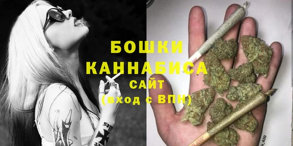дмт Белокуриха
