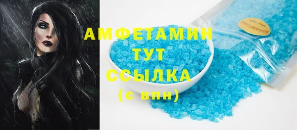 индика Беломорск